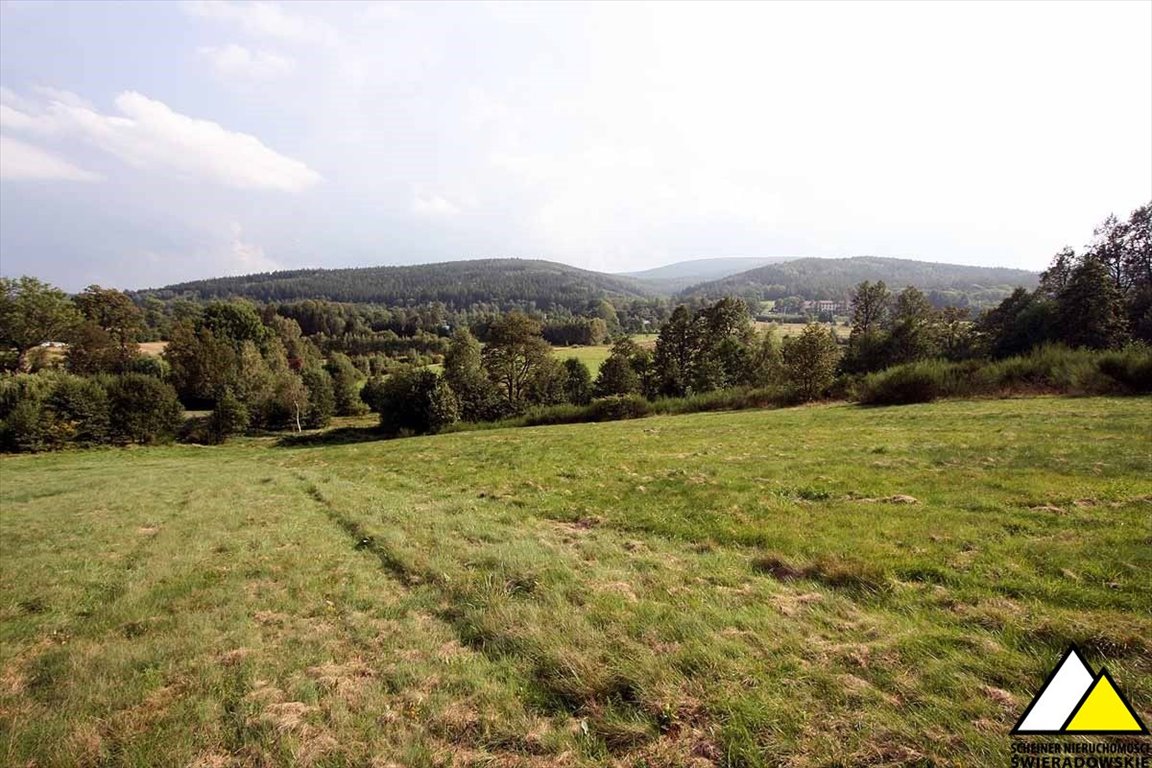Widokowa działka rolna 1,28 ha (las, góry, szlaki) Świeradów-Zdrój, Czerniawa-Zdrój, Czerniawa Zdrój  12 856m2 Foto 1