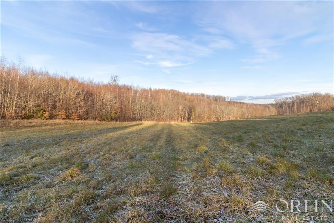 Działka budowlana na sprzedaż Łapino Kartuskie, Rdestowa  1 600m2 Foto 7