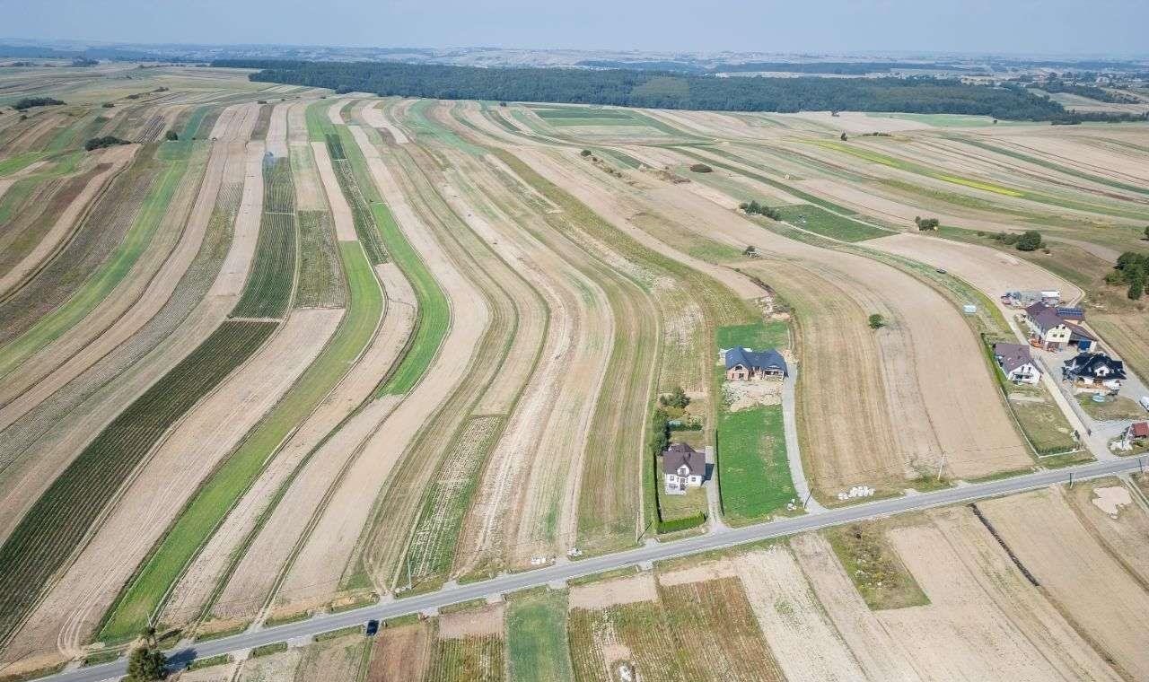 Działka siedliskowa na sprzedaż Sułoszowa  29 400m2 Foto 7