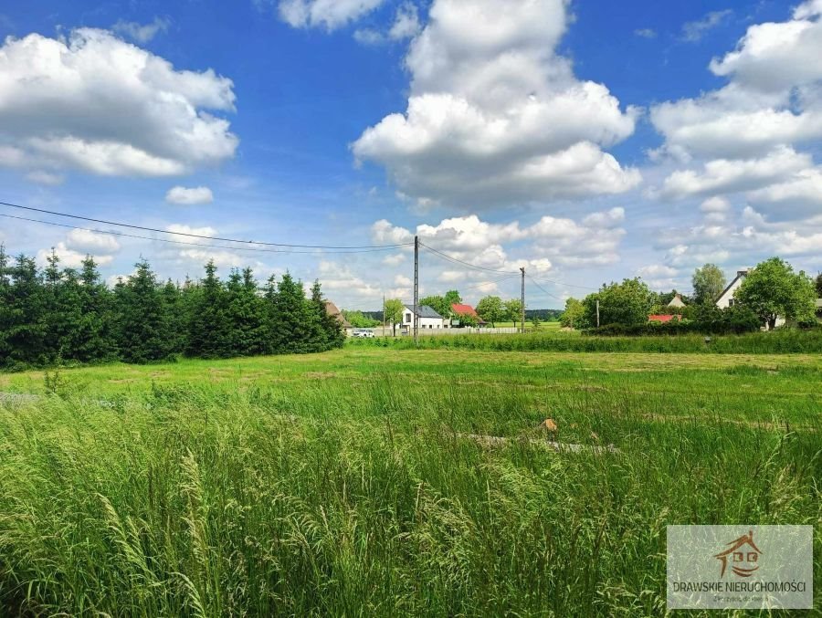 Działka rolna na sprzedaż Piecnik, Piecnik  1 900m2 Foto 5