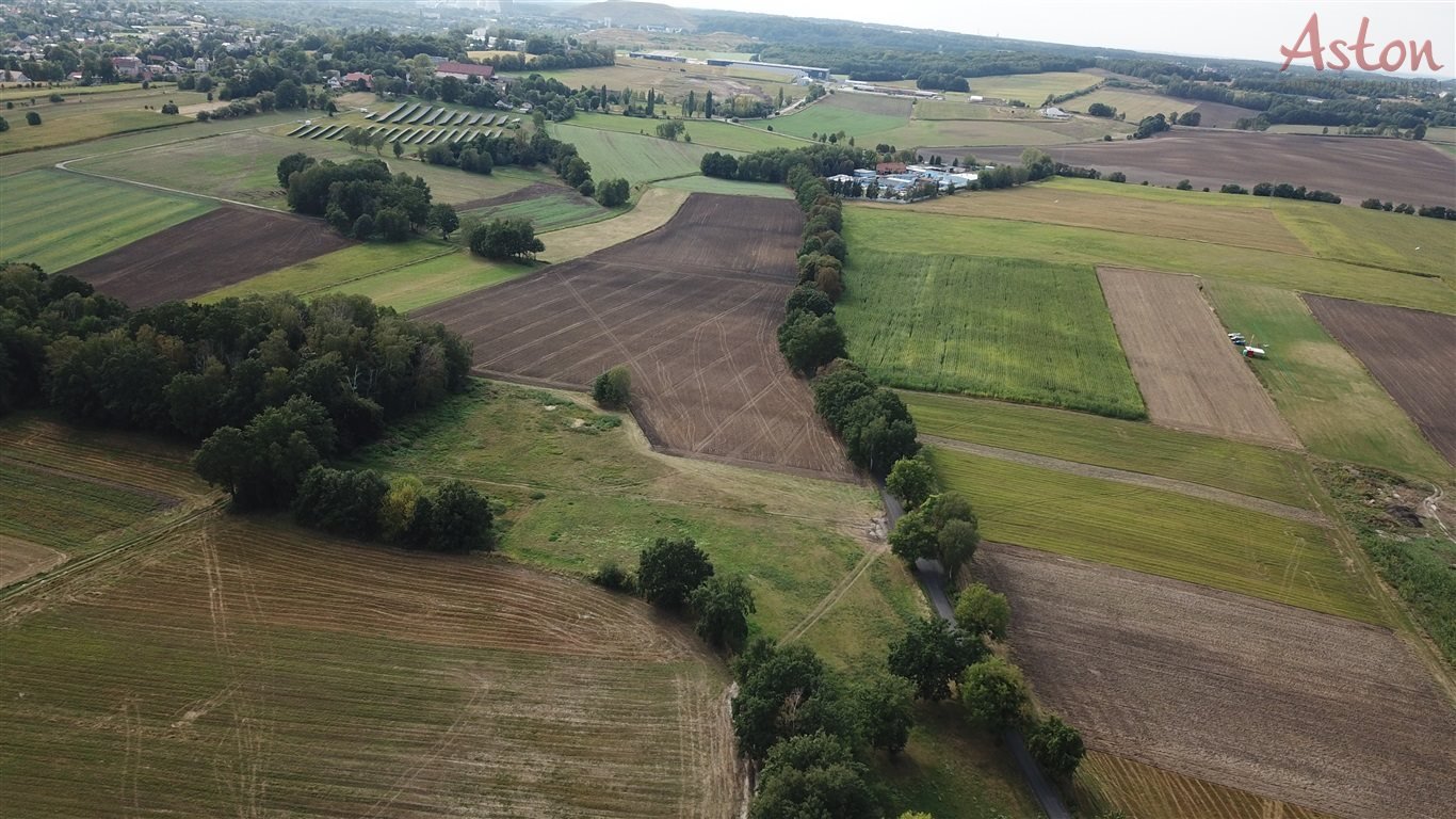 Działka inna na sprzedaż Wyry, Zbożowa  36 078m2 Foto 5