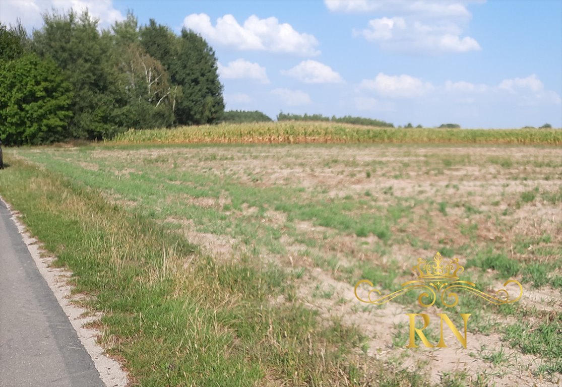 Działka rolna na sprzedaż Rudno  8 100m2 Foto 3