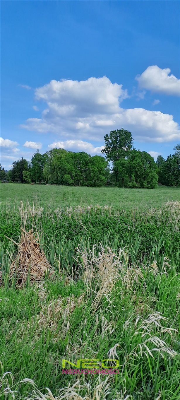 Sprzedam działkę 2256 m² w Opatowie z potencjałem: Opatów