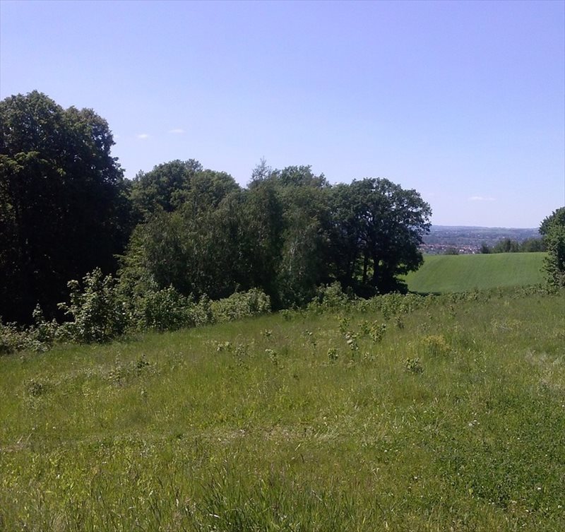 Działka budowlana na sprzedaż Rzeszów, Białogórska 4 000m2 Foto 1 Działka budowlana na sprzedaż Rzeszów, Białogórska 4 000m2 Foto 1