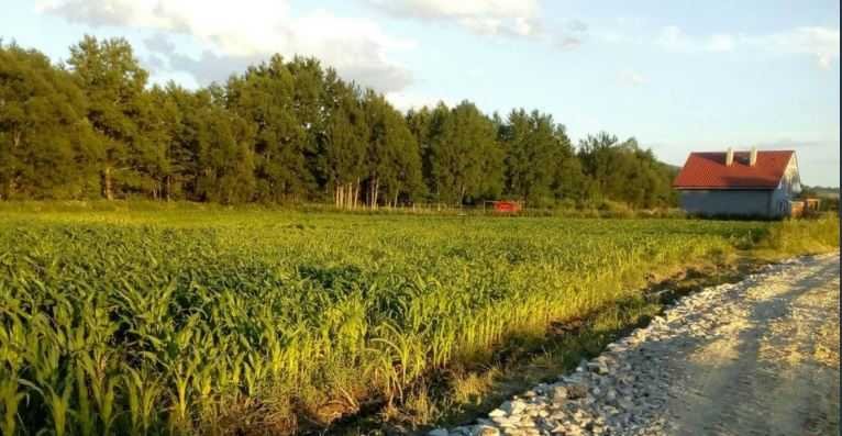 Działka inna na sprzedaż Strzelin  1 747m2 Foto 1