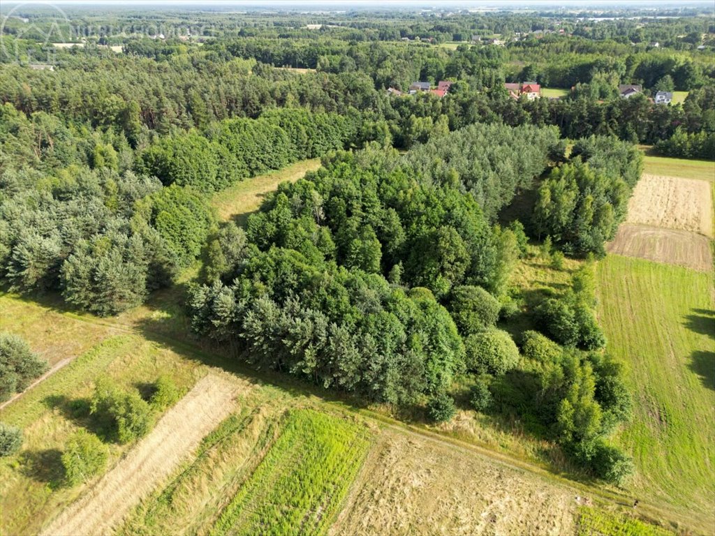 Działka rolna na sprzedaż Zaborów  5 300m2 Foto 12