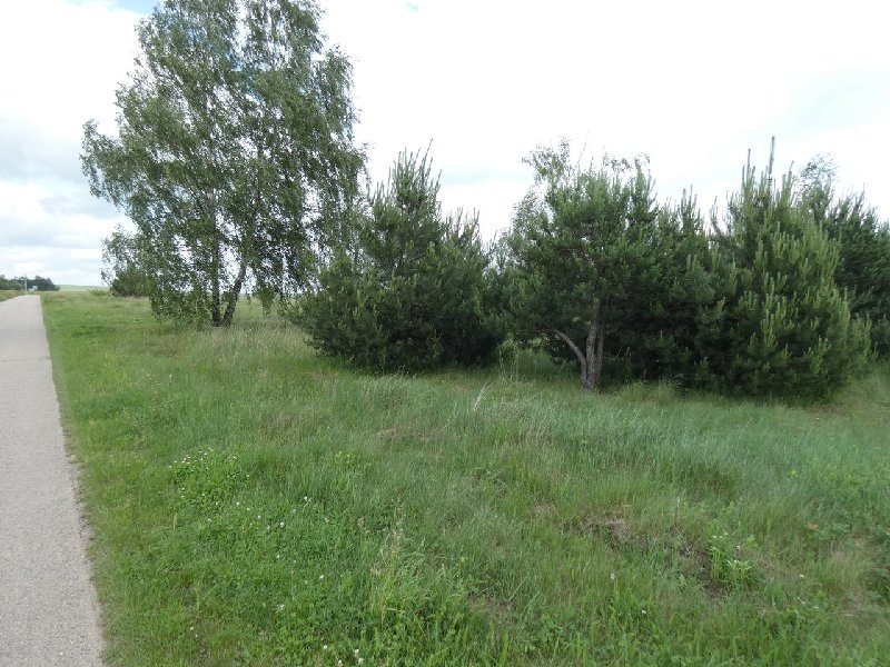 Działka inna na sprzedaż Janów, Zagórze  13 270m2 Foto 1