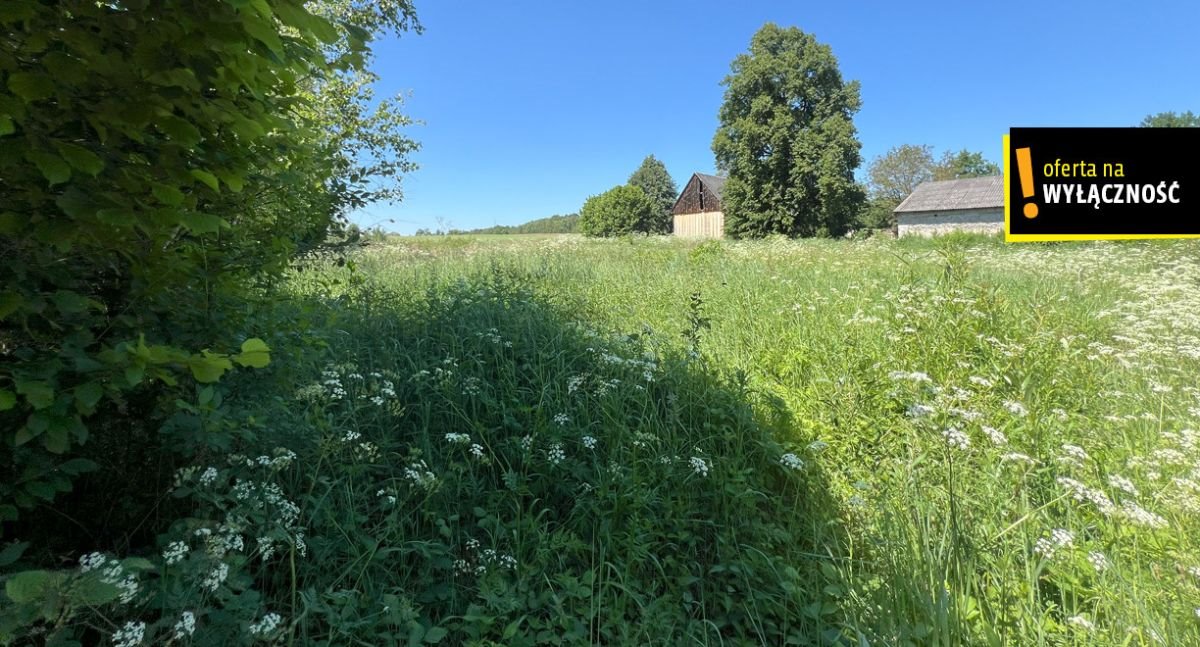 Działka budowlana na sprzedaż Rembów  4 990m2 Foto 4