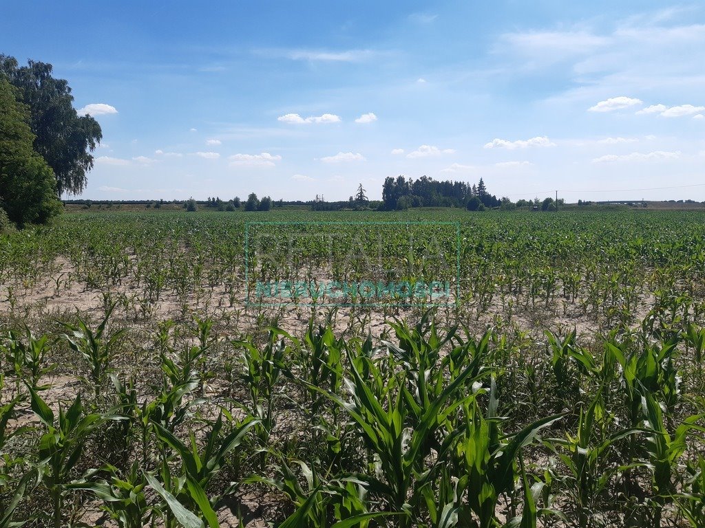 Działka inwestycyjna 5,8ha z warunkami na hale magazynowe Grodzisk Mazowiecki  58 000m2 Foto 1