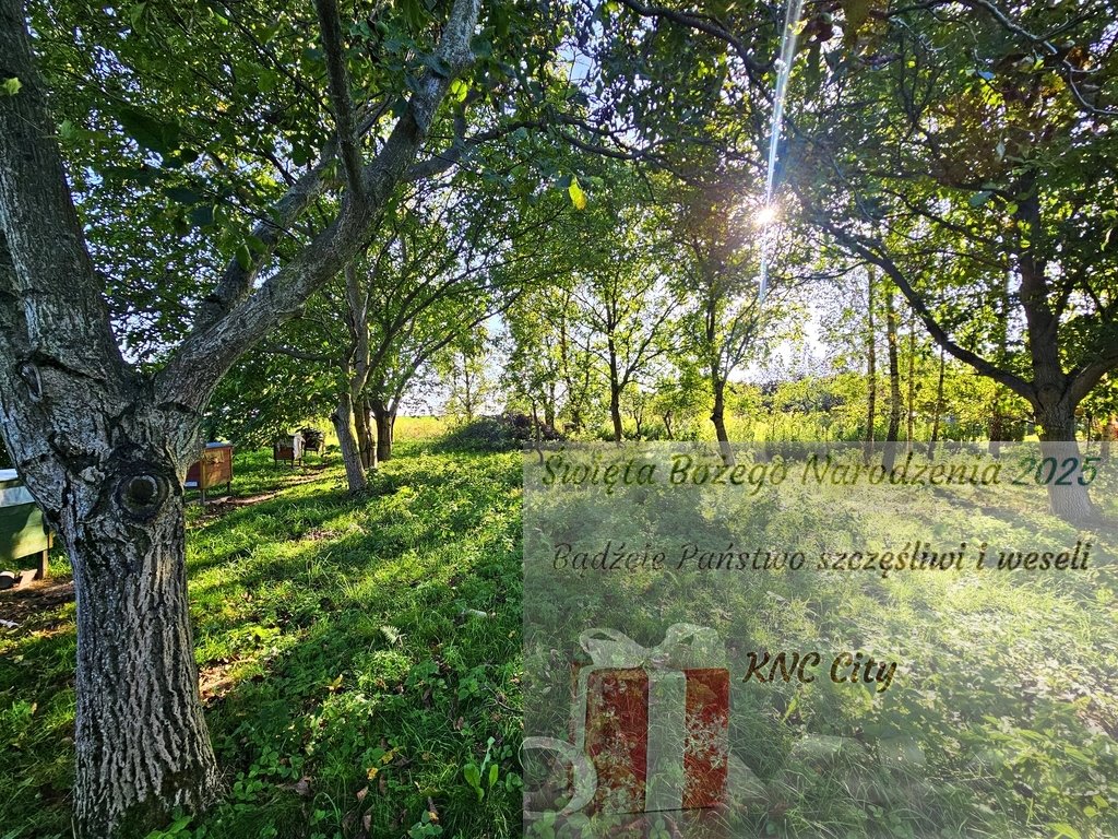 Działka rolna na sprzedaż Smugi  3 024m2 Foto 1