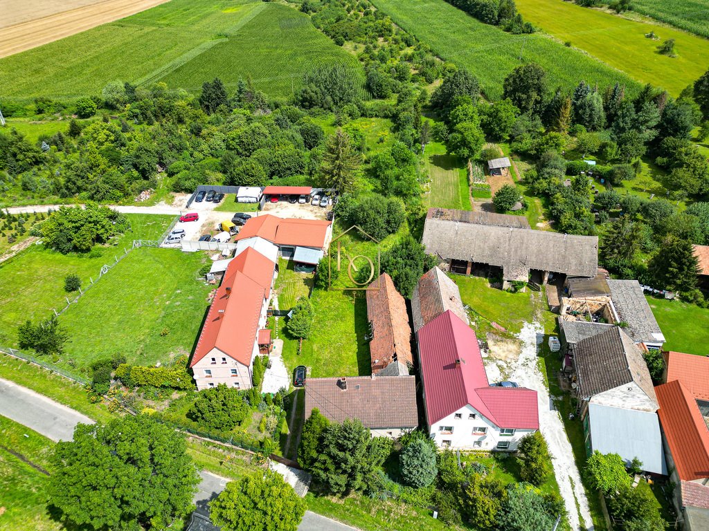 Działka 1,35 ha z mediami i lasem w urokliwym Nowolesiu Nowolesie  13 520m2 Foto 1