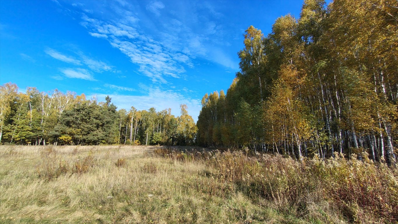 Działka budowlana na sprzedaż Brzozowica, Brzozowica  830m2 Foto 3