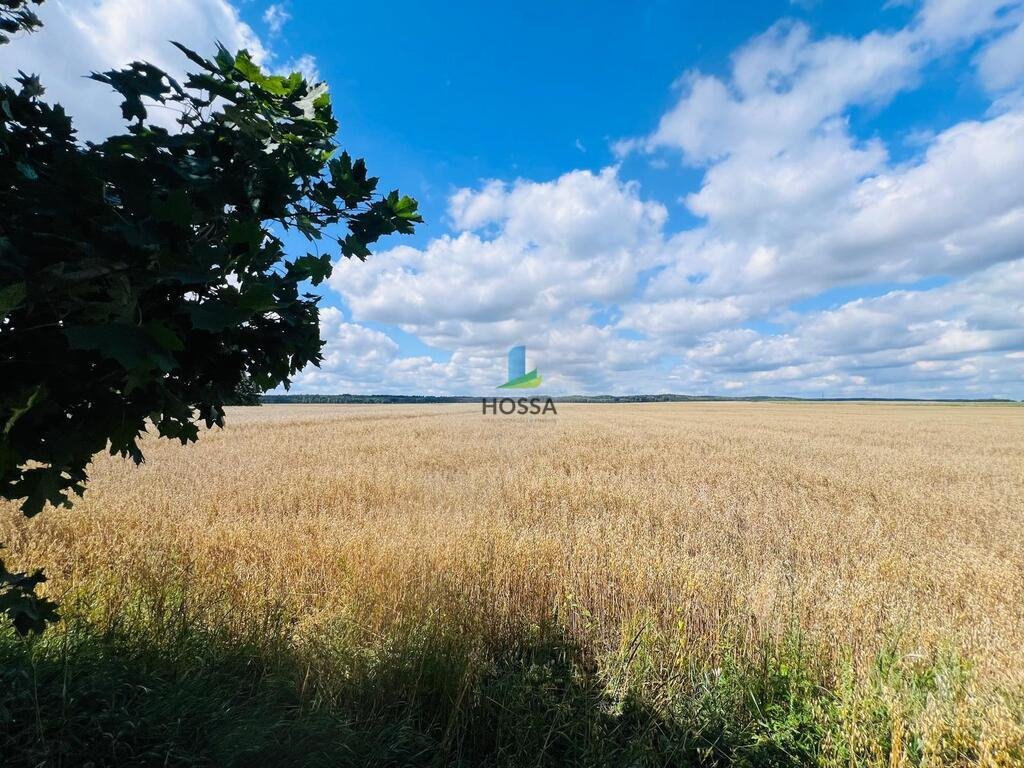 Działka budowlana na sprzedaż Radomin  15 898m2 Foto 14