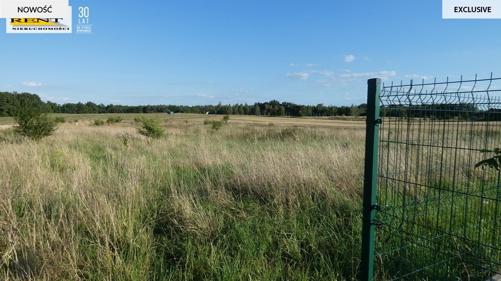 Działka rolna na sprzedaż Kamieniec  3 088m2 Foto 2