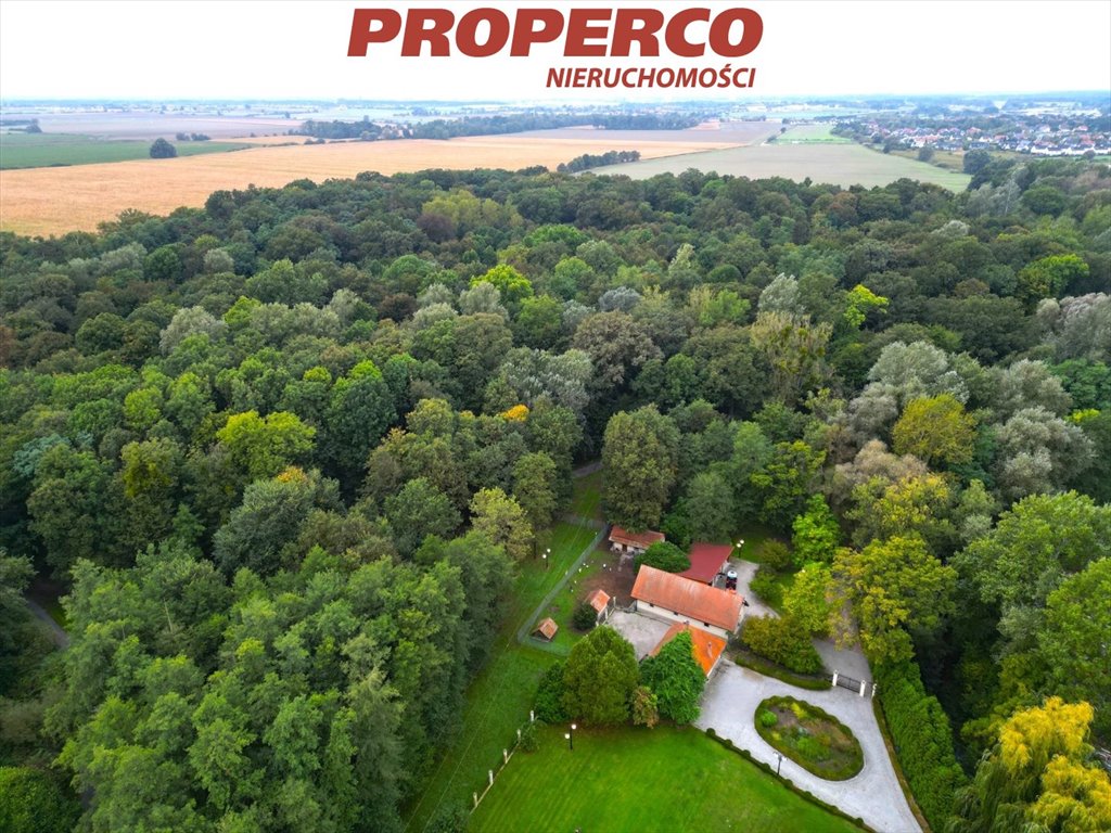 Dom na sprzedaż Kamień  850m2 Foto 17