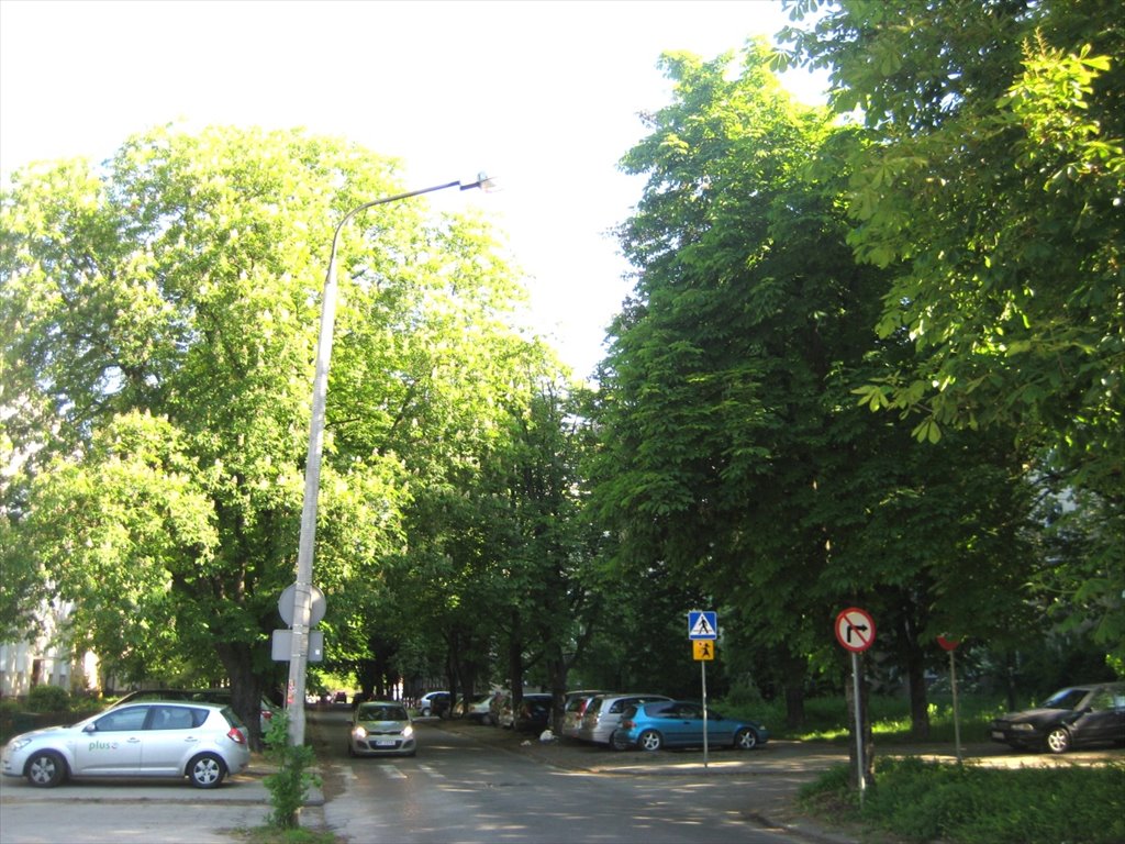 Mieszkanie dwupokojowe na wynajem Warszawa, Mokotów, Joliot Curie 30  42m2 Foto 1