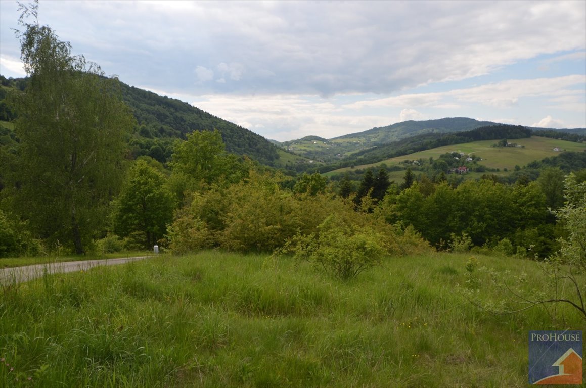 Działka 2022 m² z lasem i dojazdem - polecam Laskowa  2 022m2 Foto 1