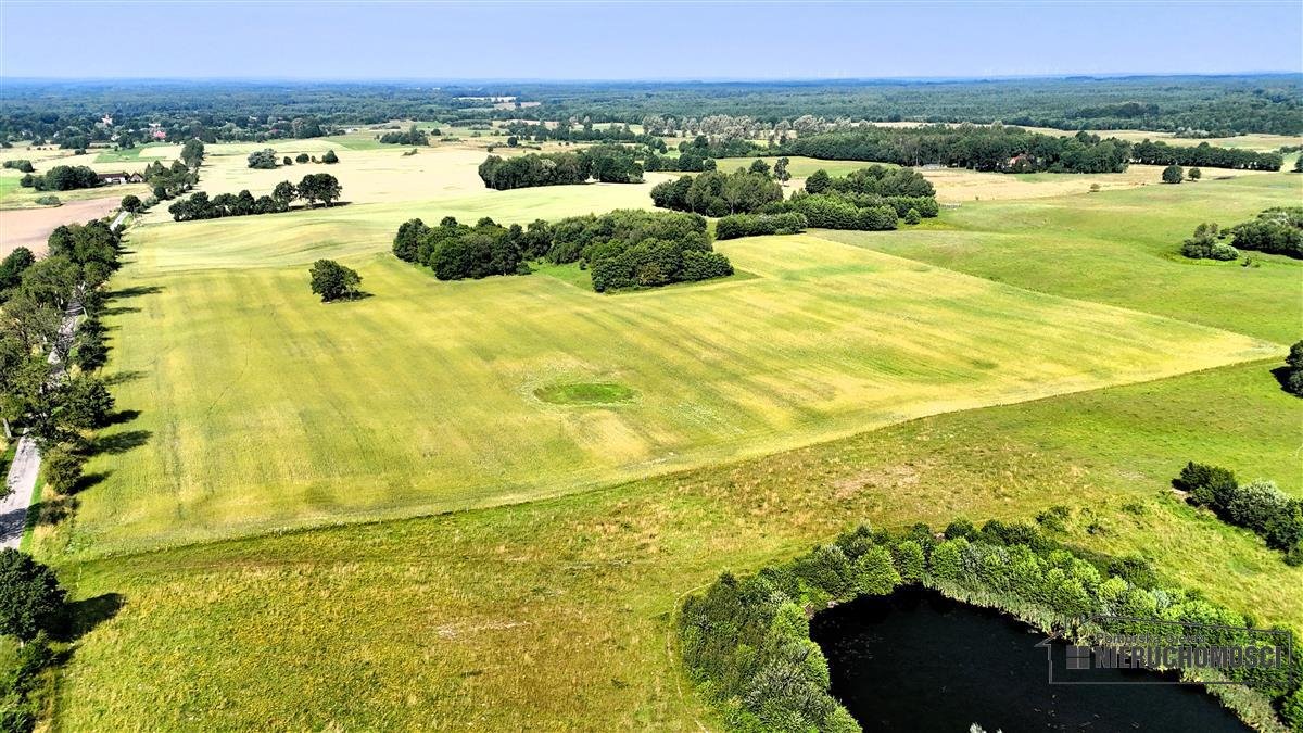 Działka inna na sprzedaż Mieszałki  139 900m2 Foto 6