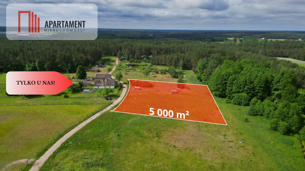 Działka 5000 m² z lasem i jeziorem - polecam Bukowiny  5 000m2 Foto 1