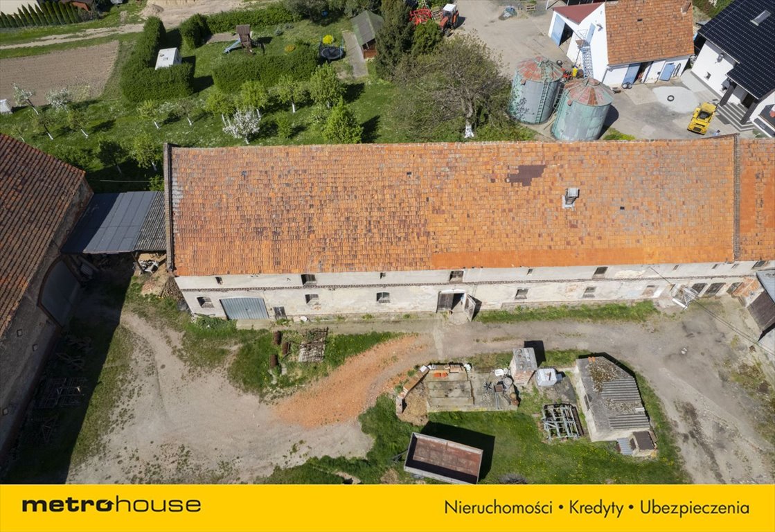 Lokal użytkowy na sprzedaż Grzybiany, Spokojna  1 300m2 Foto 7