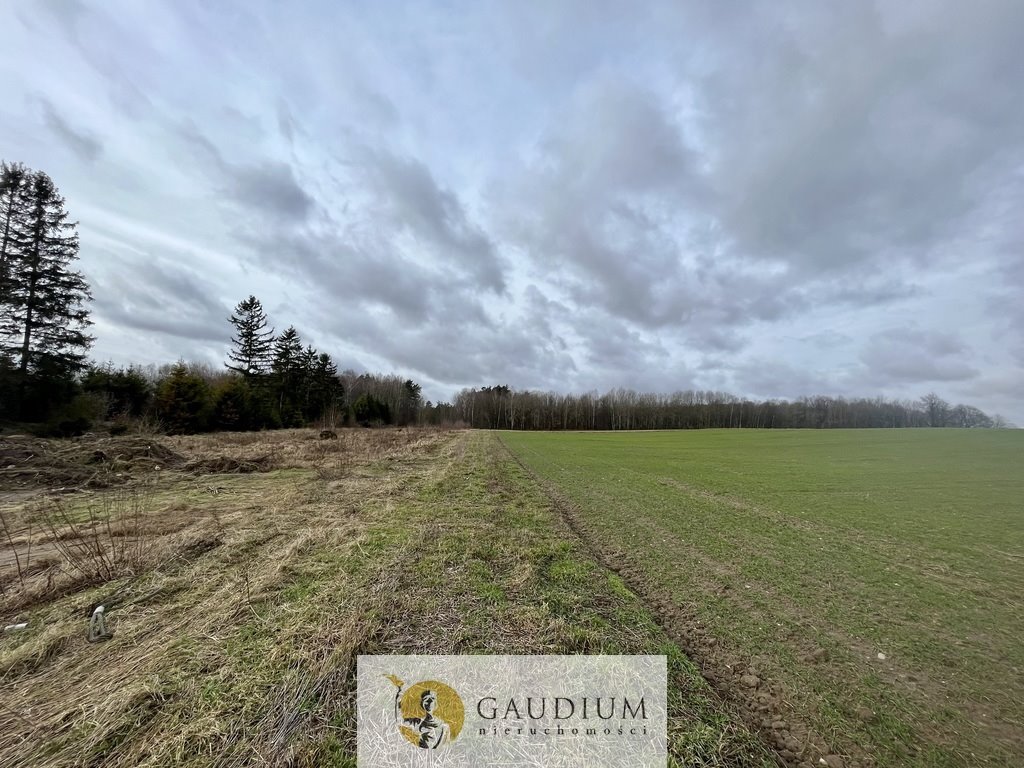 Działka 3015 m2 w Więckowym – spokój i szybki dojazd Więckowy  3 015m2 Foto 1