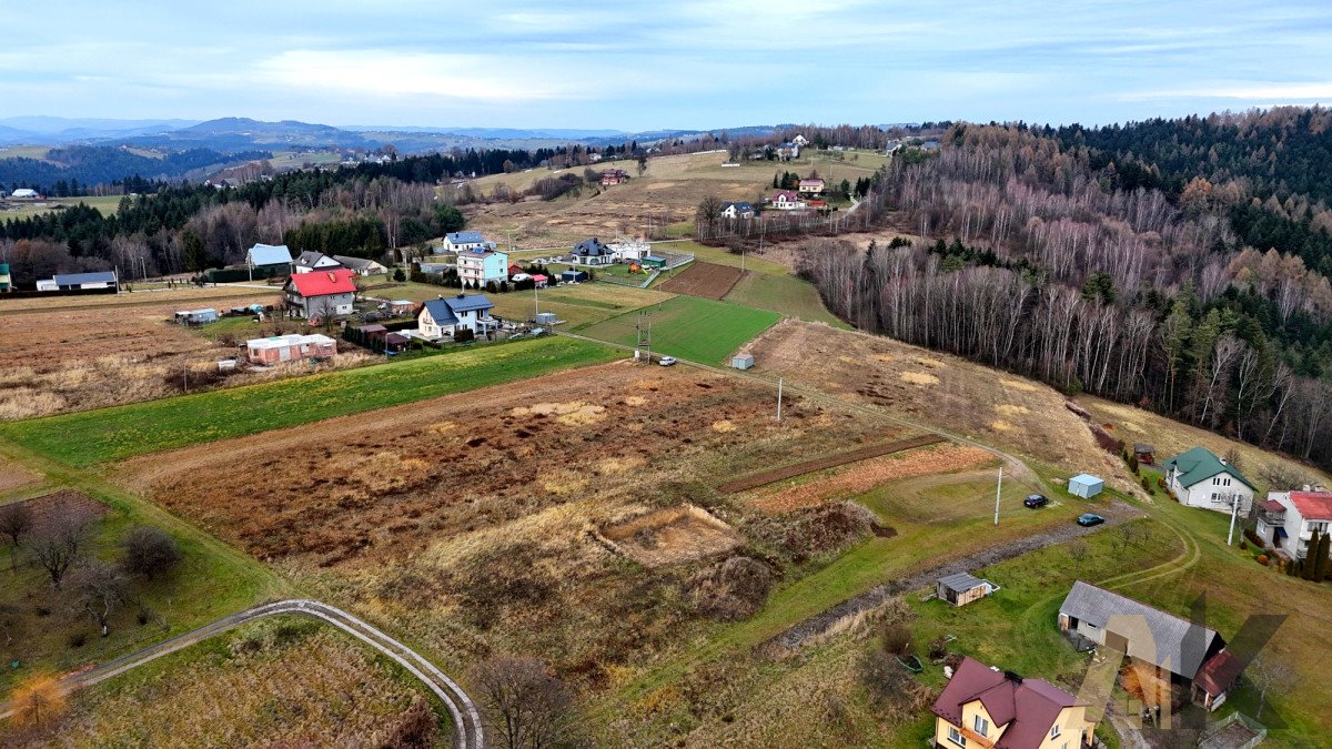 Działka budowlana na sprzedaż Paszyn  5 400m2 Foto 8