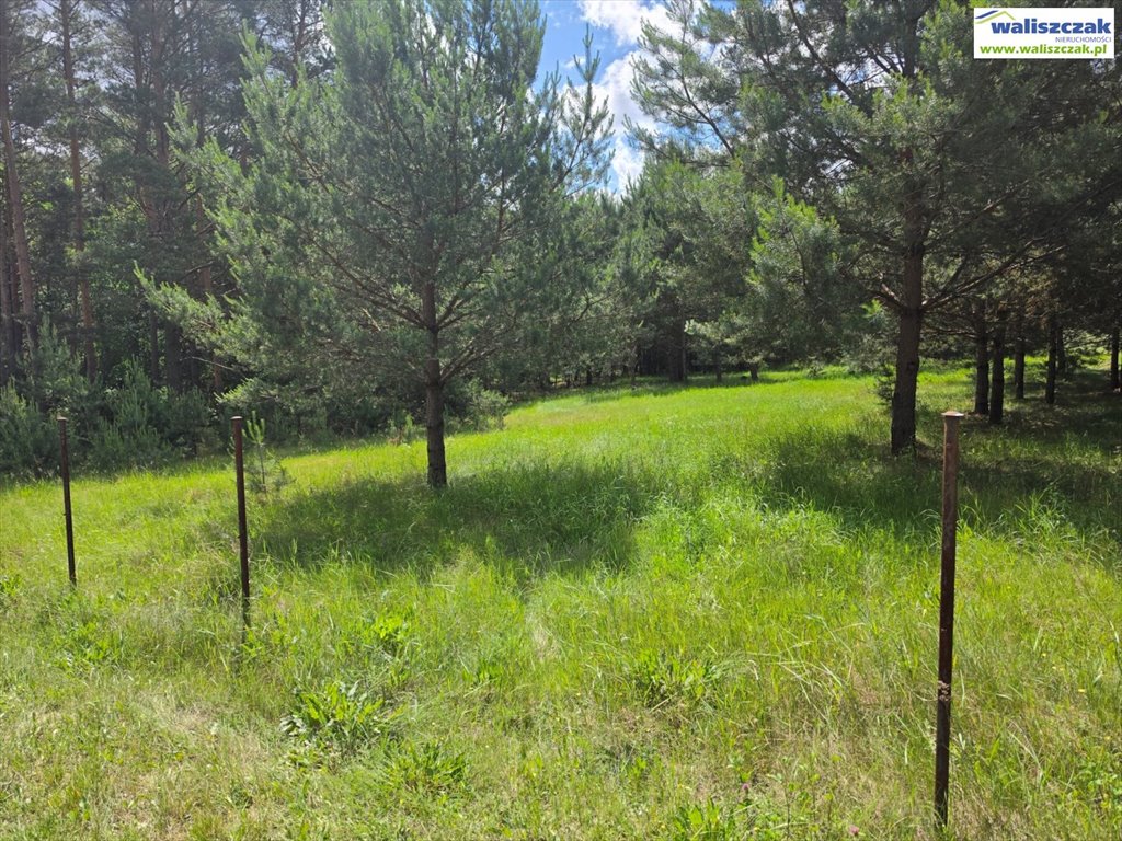 Działka 2000 m² z dostępem do Pilicy, szer. 29 m Ostrów  2 000m2 Foto 1