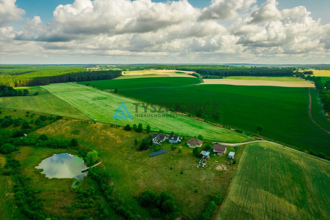 Działka rolna na sprzedaż Nożyno  3 010m2 Foto 7