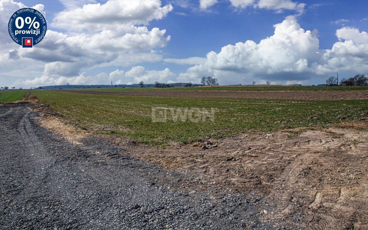 Działka budowlana na sprzedaż Kraśnik Dolny, Kraśnik Dolny  1 032m2 Foto 2