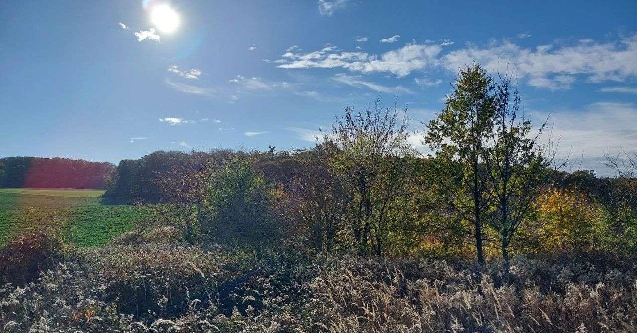 Działka budowlana na sprzedaż Świątniki, Bukowa  5 300m2 Foto 9