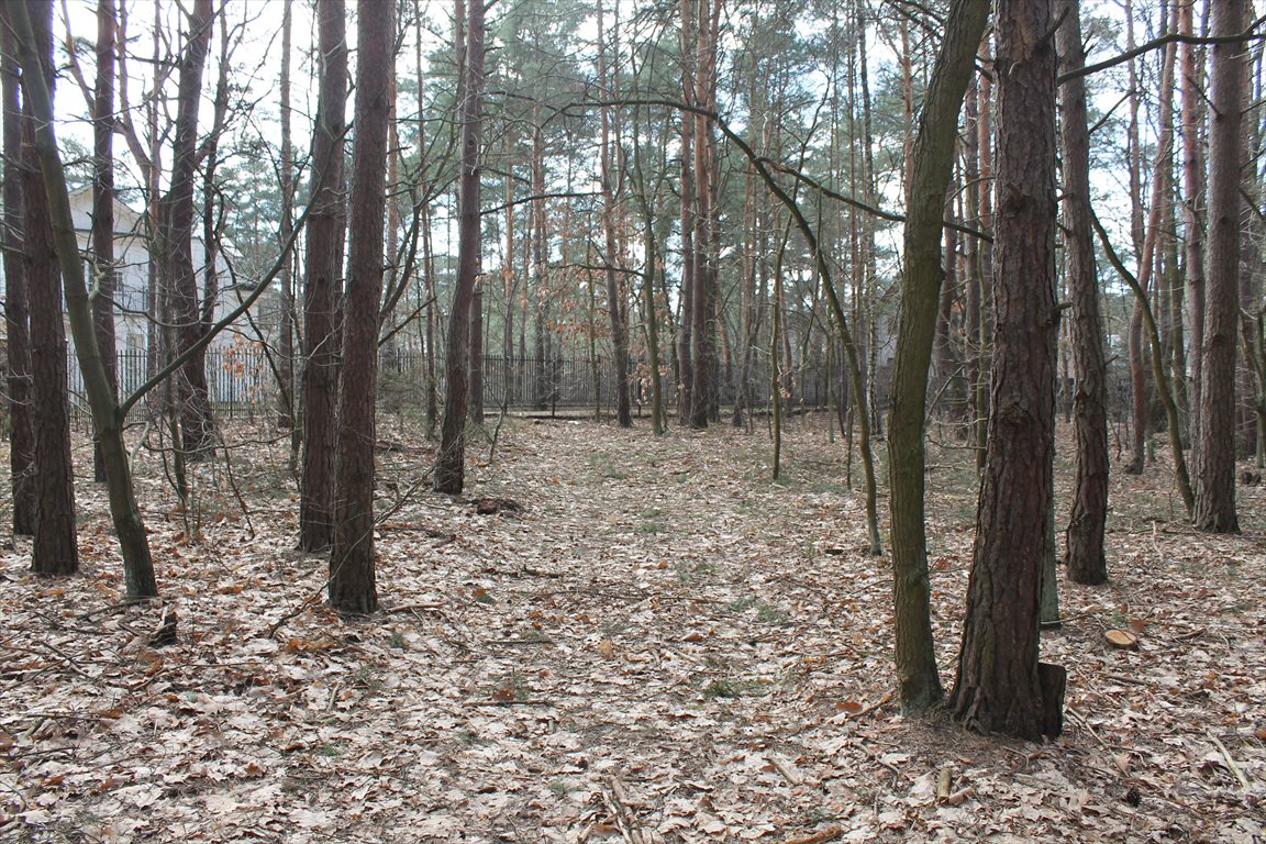 Działka budowlana na sprzedaż Warszawa, Wawer, Izbicka/Koprowa 2 274m2 Foto 1 Działka budowlana na sprzedaż Warszawa, Wawer, Izbicka/Koprowa 2 274m2 Foto 1