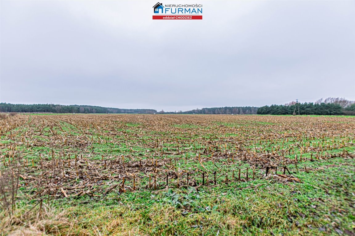 Działka budowlana na sprzedaż Boruchowo  14 300m2 Foto 3