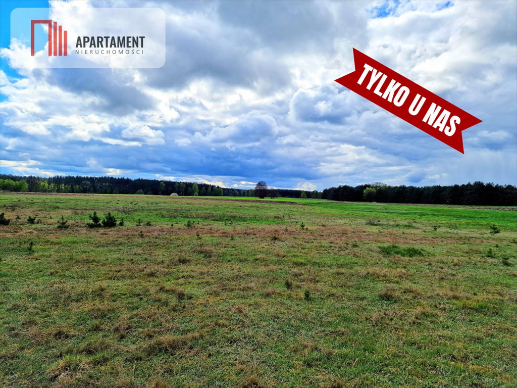 Działka budowlana na sprzedaż Lubocień  6 000m2 Foto 19