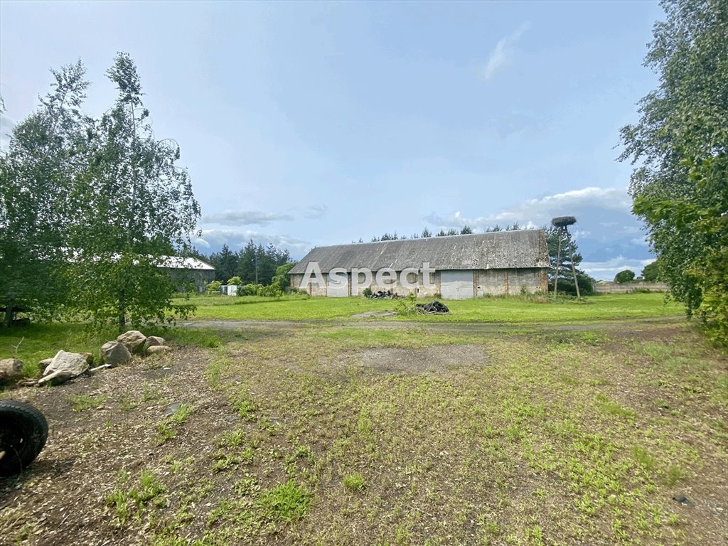 Działka inna na sprzedaż Stary Gołębiewek  19 000m2 Foto 1