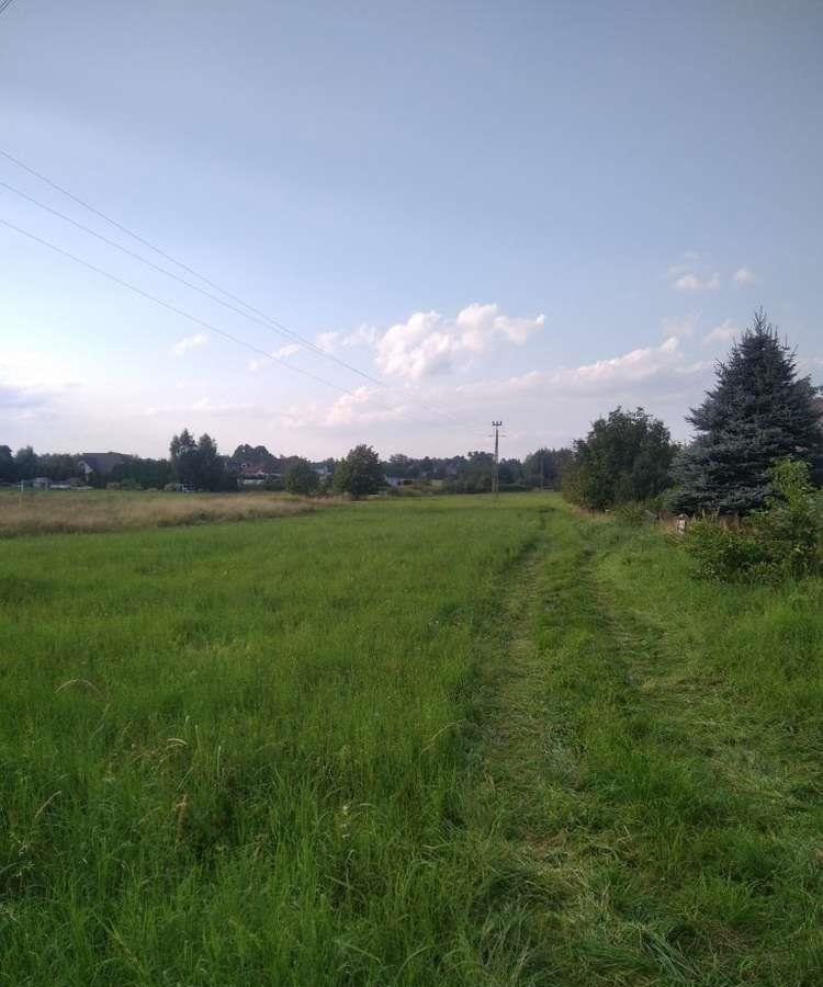 Działka budowlana na sprzedaż Klęczany  3 800m2 Foto 5