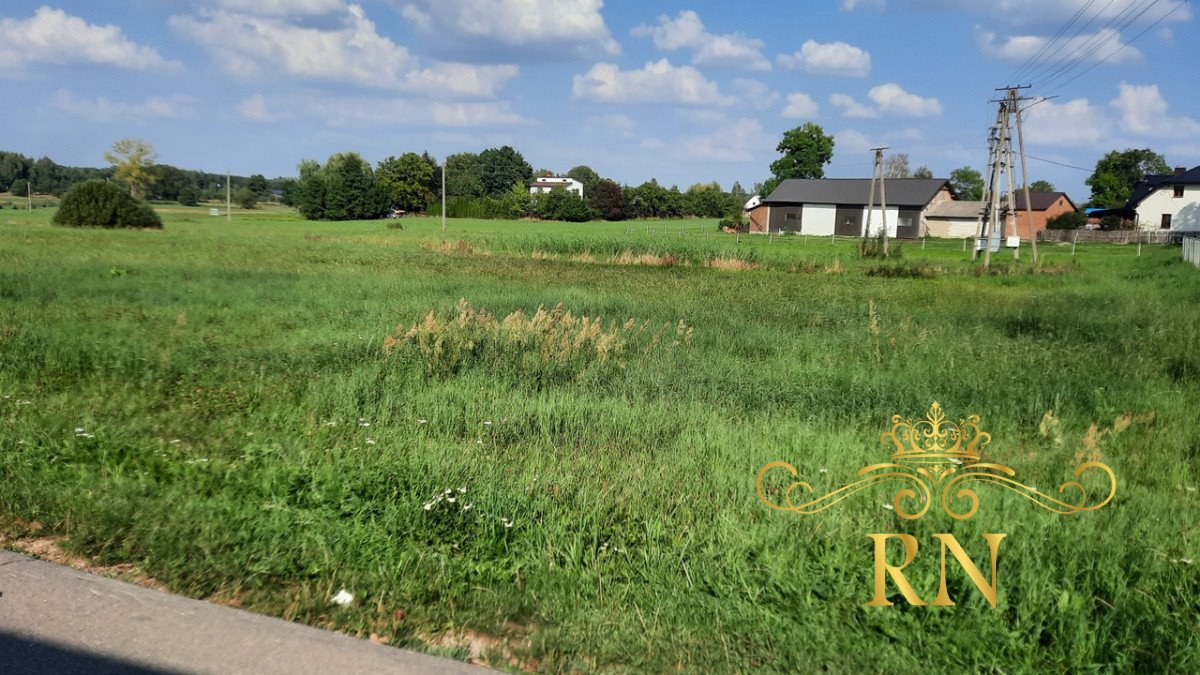 Działka rolna na sprzedaż Rudno  10 100m2 Foto 6