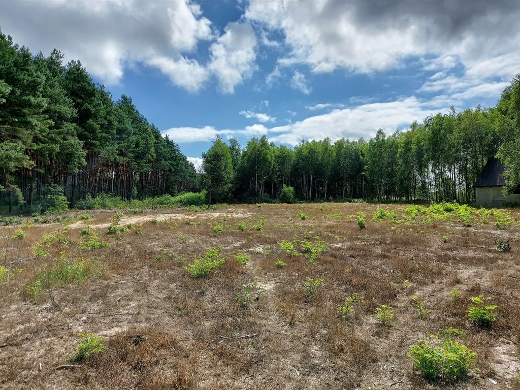 Działka inna na sprzedaż Niecenia  10 905m2 Foto 2