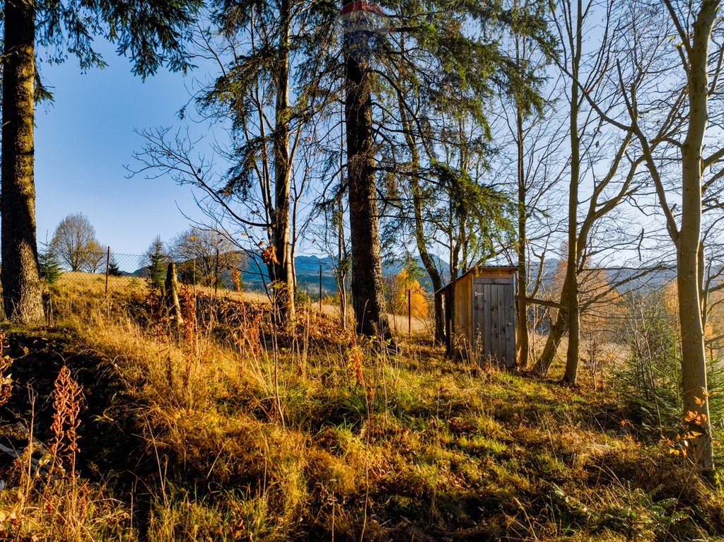 Działka rolna na sprzedaż Zakopane  2 036m2 Foto 12