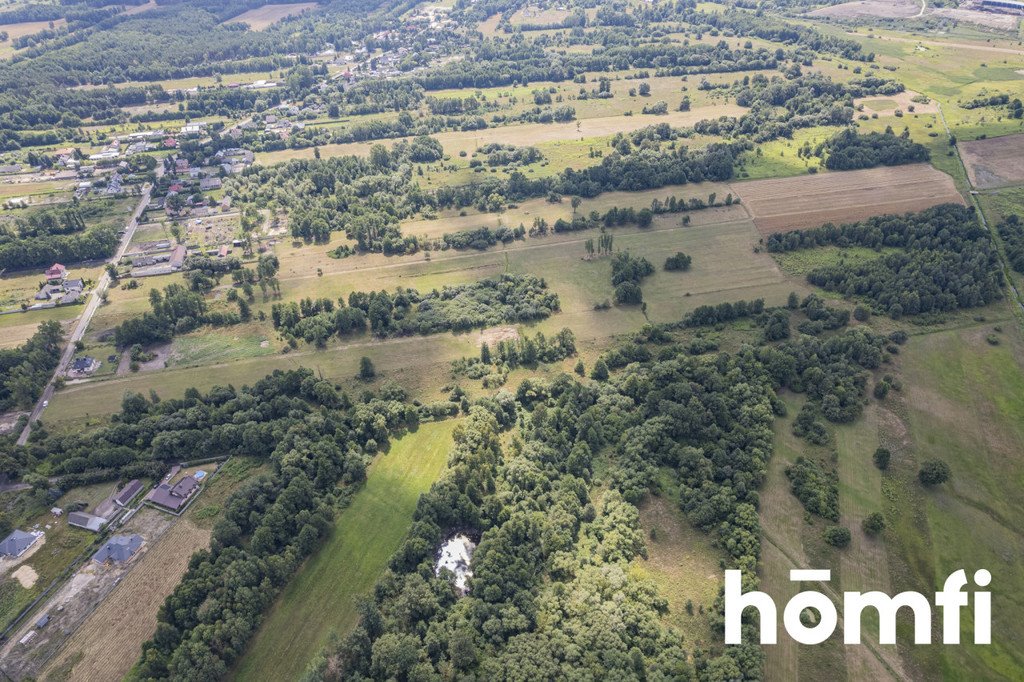 Działka budowlana na sprzedaż Mostówka  28 000m2 Foto 5