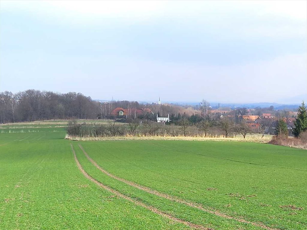 Działka budowlana na sprzedaż Witoszów Górny, Witoszów Górny  1 518m2 Foto 2