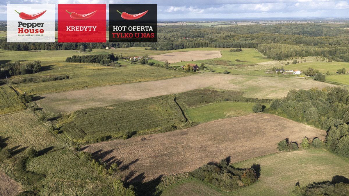 Zapraszam do obejrzenia dużej działki 21 618 m² w Strużynie Strużyna  21 618m2 Foto 1