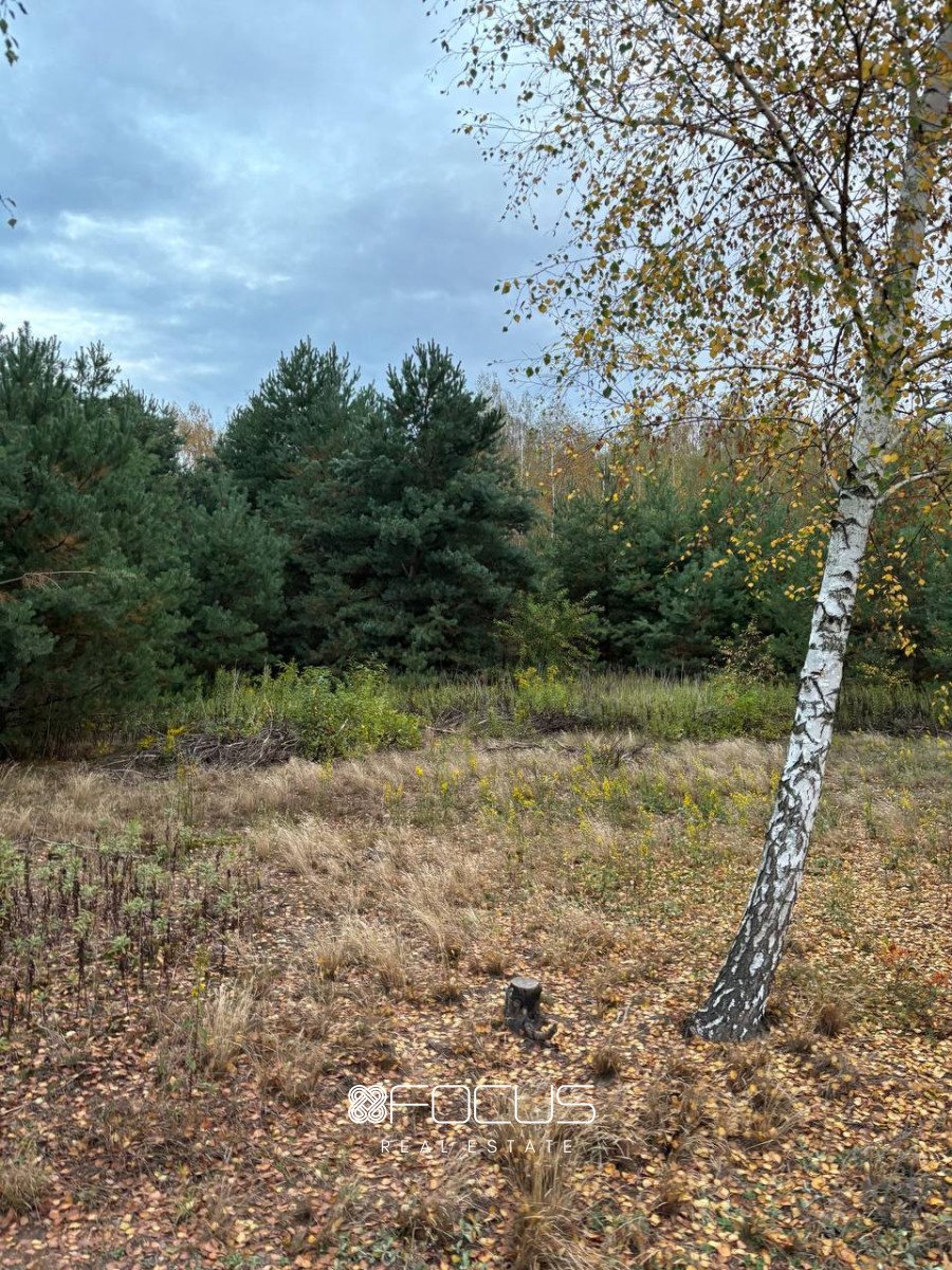 Działka budowlana na sprzedaż Józefów, Szkolna  20 000m2 Foto 7