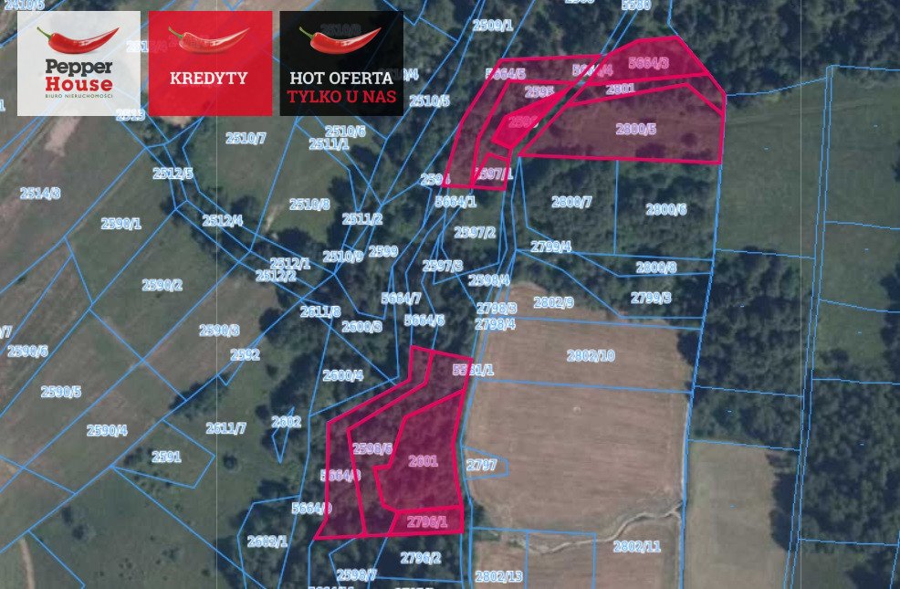 Działka budowlana na sprzedaż Skomielna Biała  16 025m2 Foto 1