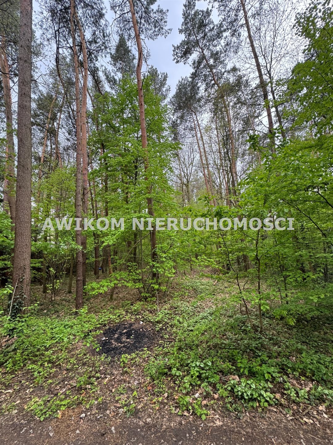 Działka leśna na sprzedaż Władysławów  909m2 Foto 2