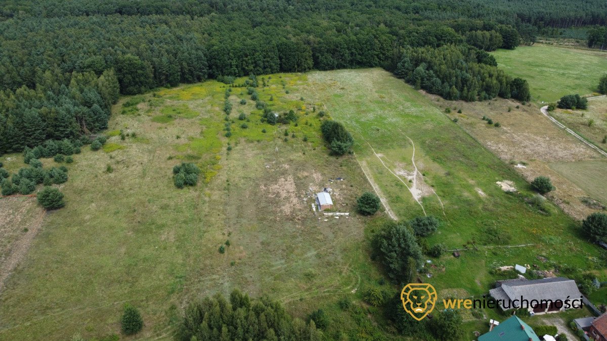 Działka budowlana 1,6 ha z dostępem do lasu i mediów Dąbrowa  16 000m2 Foto 1