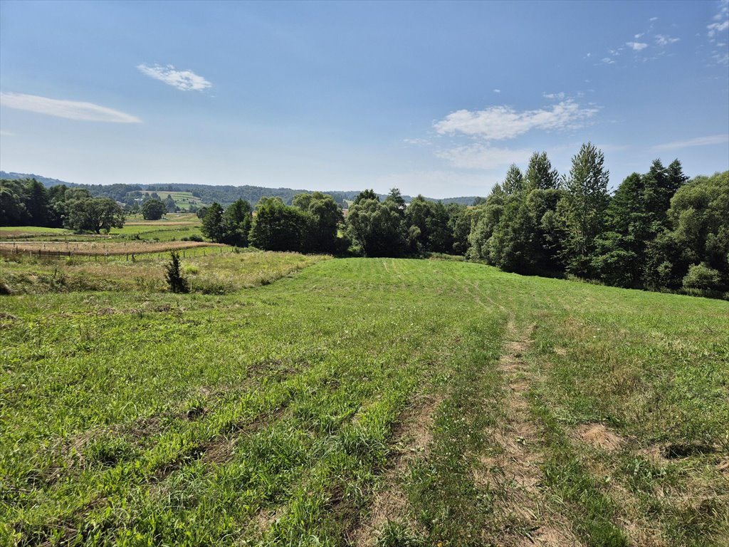 Widokowa działka w Golcowej 8 051 m² – cisza i natura Golcowa  8 051m2 Foto 1