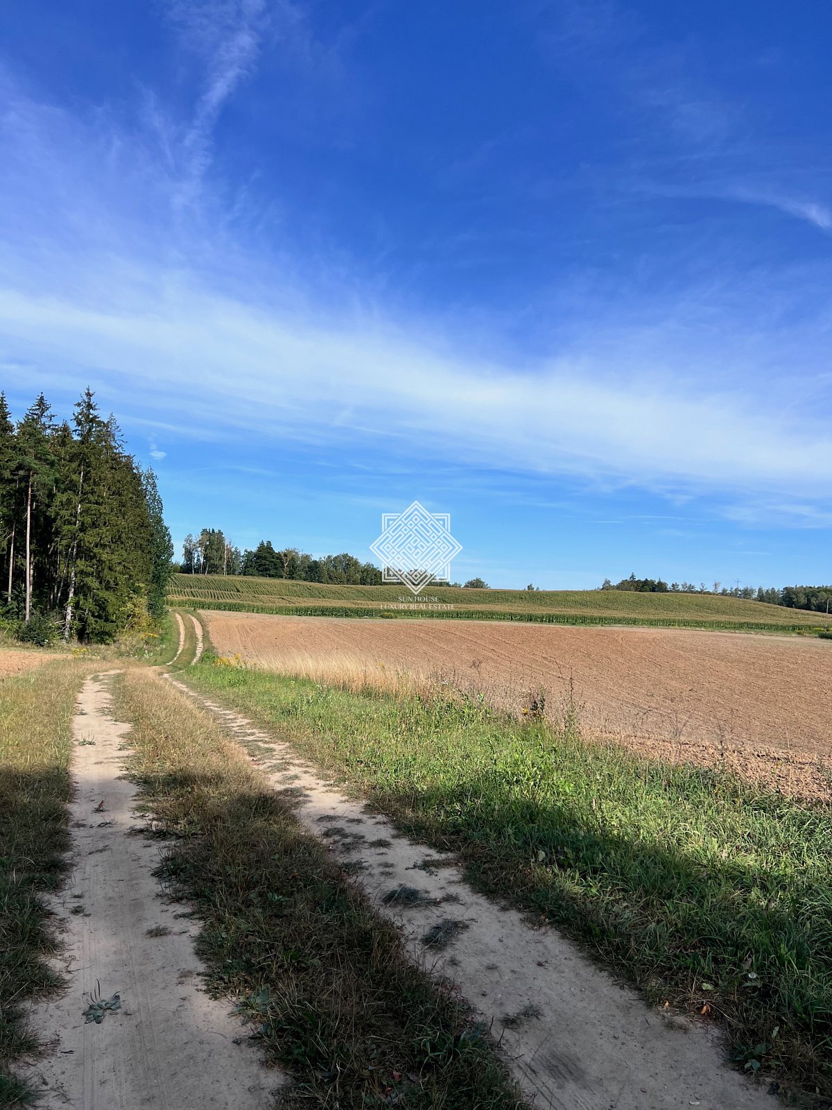 Działka inna na sprzedaż Grądy Kruklaneckie  10 300m2 Foto 4