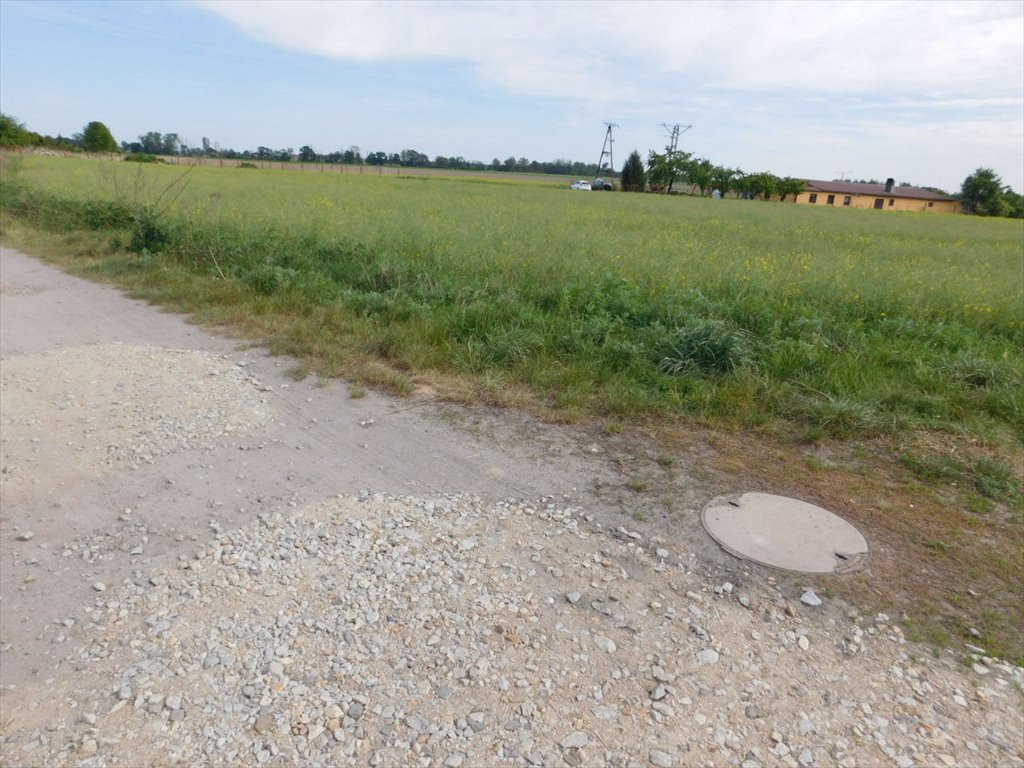 Działka inwestycyjna na sprzedaż Oława, ŚCINAWA POLSKA  35 800m2 Foto 1