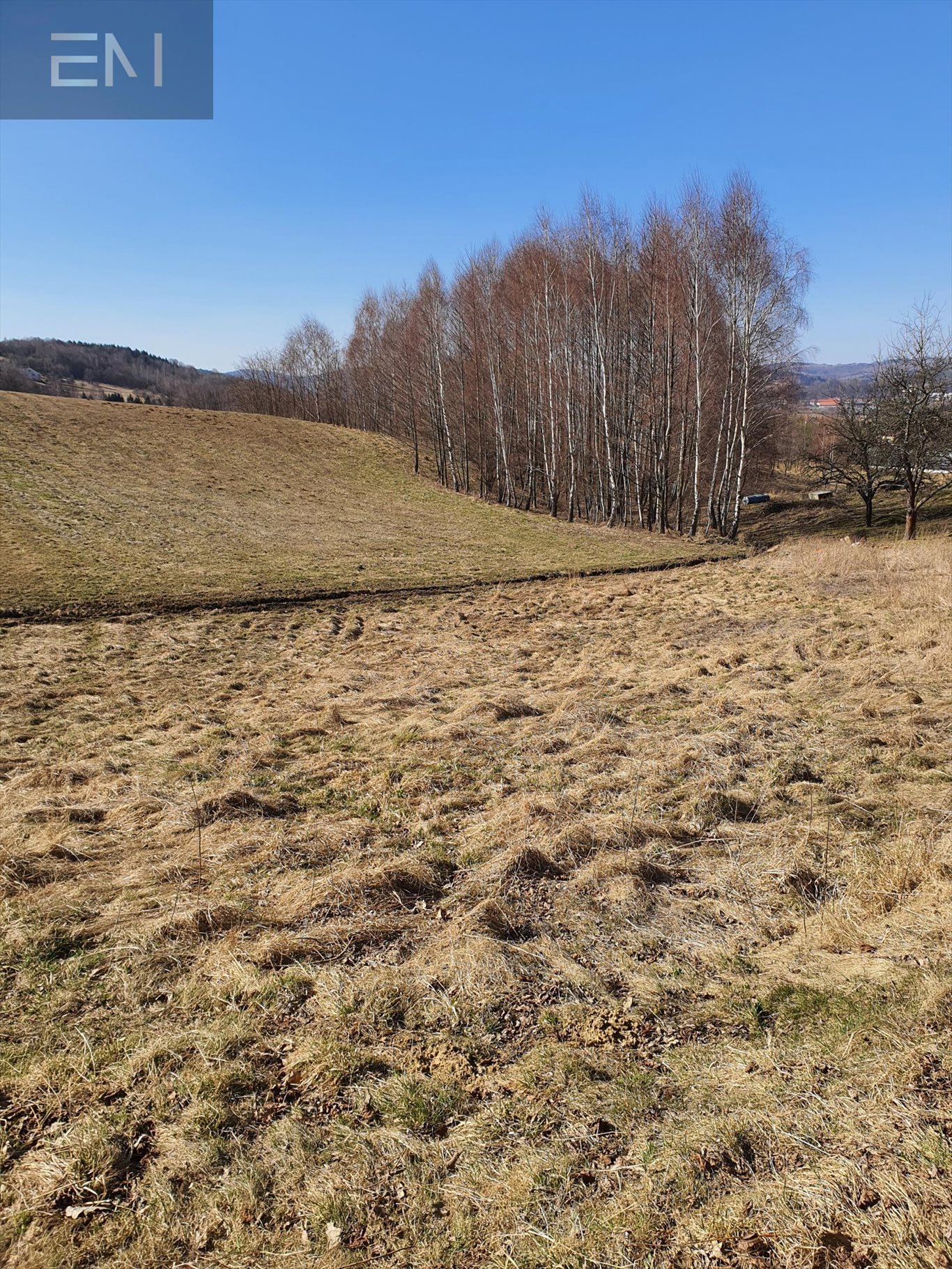 Działka budowlana na sprzedaż Jazowa  5 000m2 Foto 2