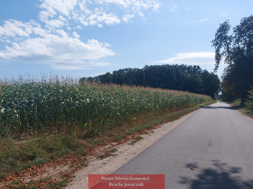 Działka budowlana na sprzedaż Krzeczyn  30 010m2 Foto 2